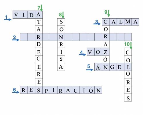 PLEASE HELP

I'm doing a Spanish crossword and I'm stuck on one of them: Una persona muy especial