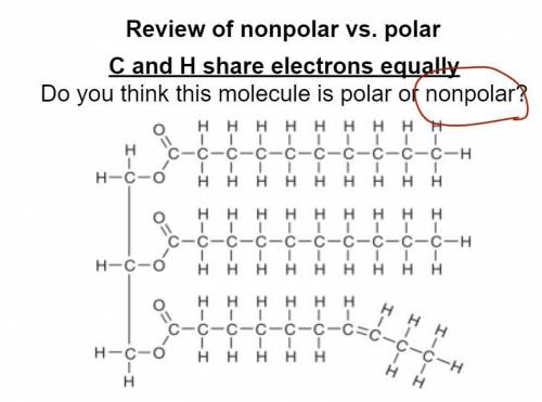 Why is this molecule nonpolar?