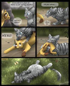 This is what happened to patchpaw in warrior cats