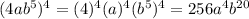 (4a {b}^{5} )^{4}  =  ({4})^{4} ( {a})^{4}  ({b}^{5} )^{4}  = 256 {a}^{4}  {b}^{20}