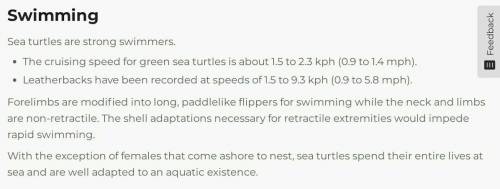 Identify some of the adaptions that sea turtles have living in the ocean