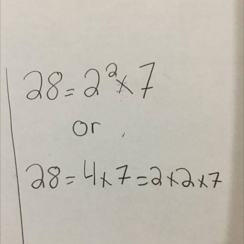 1. What is the prime factorization of 28?