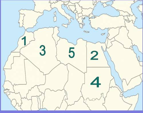 Please help I’ve been struggling for a while

Match the country to the number on the map
Egypt
Sud