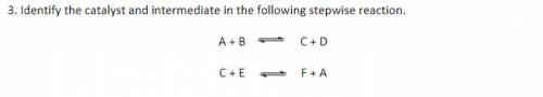 PHOTO ATTACHED. Identify the catalyst and intermediate in the following stepwise reaction.

I'm no