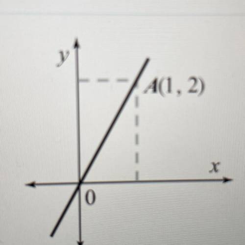 Write that down the equation for the lines that is the graphs are depicted below

PLZ HELP 20 poin