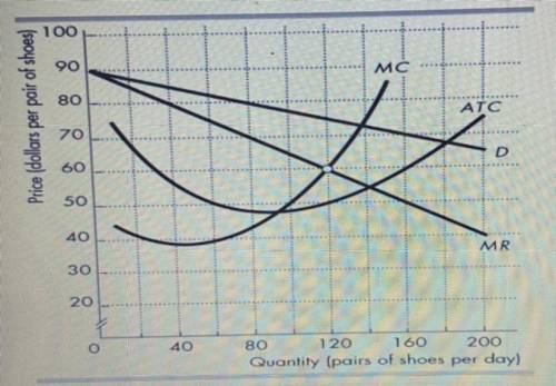 The figure shows the demand curve for Nike shoes (D), and Nike's marginal revenue curve (MR), margi