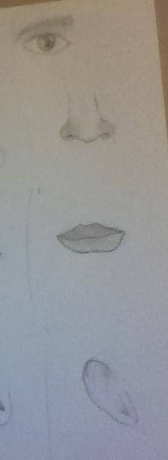I had to draw eye's noes, lips, and ears in art class today and this is what i did....Also i really