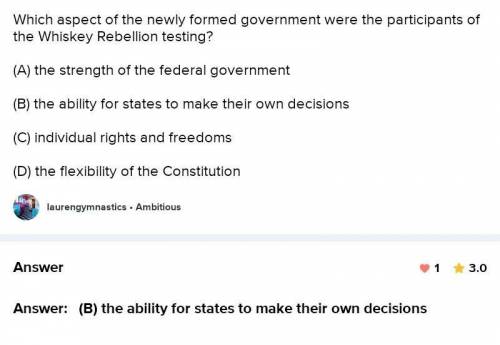 Which aspect of the newly formed government were the participants of the Whiskey Rebellion testing?