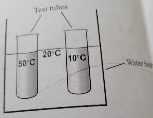 Describe the direction of heat flow that would occur in 2 test tubes one containing a 50c solution,