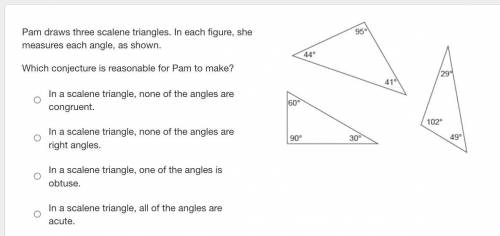 Pam draws three scalene triangles. In each figure, she measures each angle, as shown.

Which conje