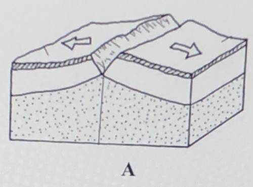 Describe the movement of the tectonic plates in model A. What is this situation called?