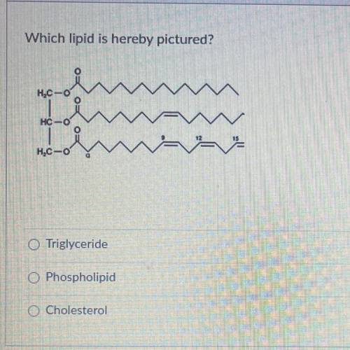 Which lipid is hereby pictured?