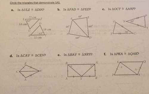 Circle the triangles that demonstrate SAS.
Plzzz helppp !!!