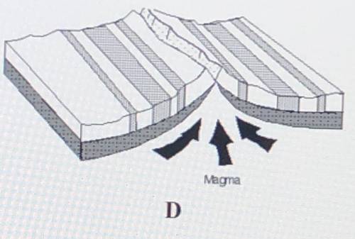 Describe the movement of the tectonic plates in model D. What is this situation called?