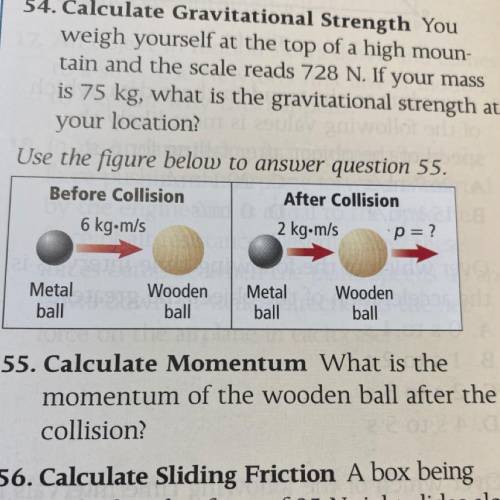 Calculate momentum- what is the momentum of the wooden ball after the collision?