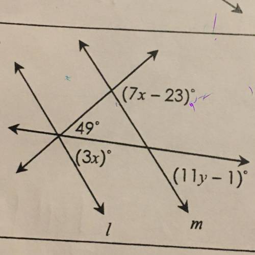 If / || m. solve for x and y.
