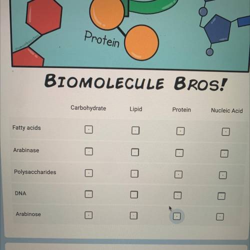 Check all of the boxes which are associated with the major biomolecules