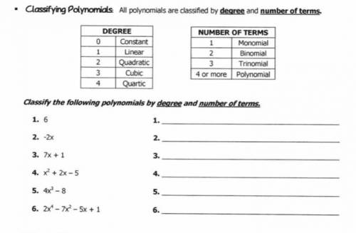 Instructions:Classify the following polynomials by degree and number of terms.

ANYONE PLEASE HELP