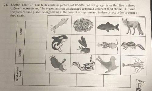 Help! Putting these Organisms in Order for each row starting with a Producer!