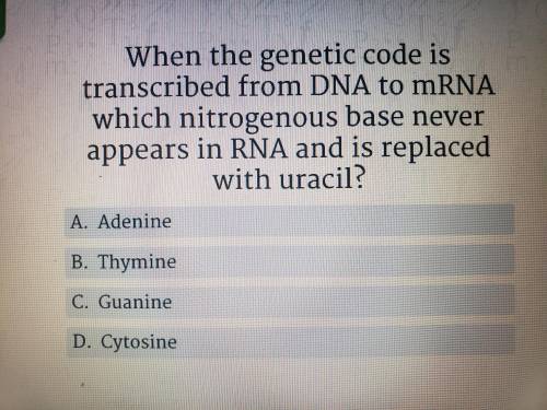 [Giving brain+follow+ty+likes!]

*when the genetic code is transcribed from the DNA to mRNA..
Whic