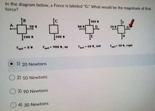 Help! I'm not sure my answer is correct.Problem is attached!
