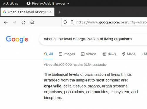What is the level of organization of living organisms?