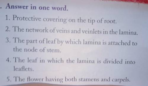Answer in one word.

1. Protective covering on the tip of root. 2. The network of veins and veinle