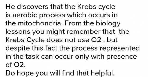 Matthew is assigned a project to learn about cellular respiration. He discovers that the Krebs cycle