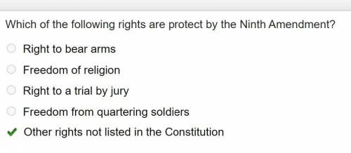 Which of the following rights are protect by the Ninth Amendment?
