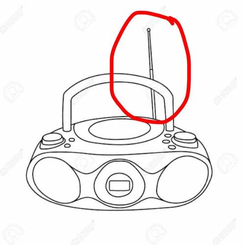 What’s the circled thing in the picture called?