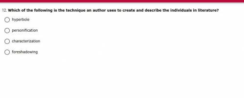 Which of the following is the technique an author uses to create and describe the individuals in li