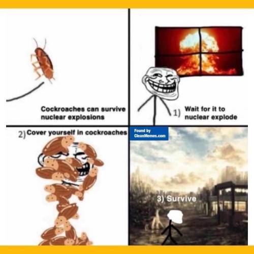 Why can a cockroach survive a nuclear bomb?

can cockroaches survive a nuke
With much slower cell