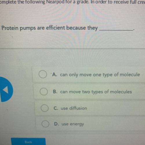 Protein pumps are efficient because they￼ 
(Plz help)