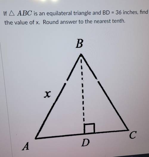 = If A ABC is an equilateral triangle and BD = 36 inches, find the value of x. Round answer to the
