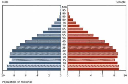 According to this population pyramid, what current social issue is MOST LIKELY to be a concern to t