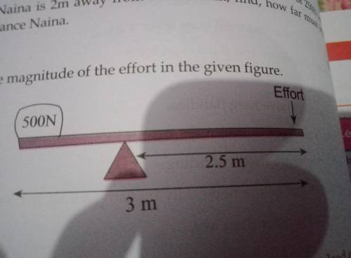 Calculate the magnitude of the effort in the given