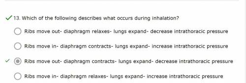 Which of the following describes what occurs during inhalation?