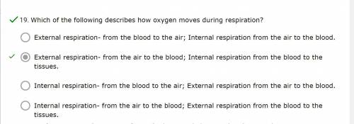 Which of the following describes how oxygen moves during respiration?