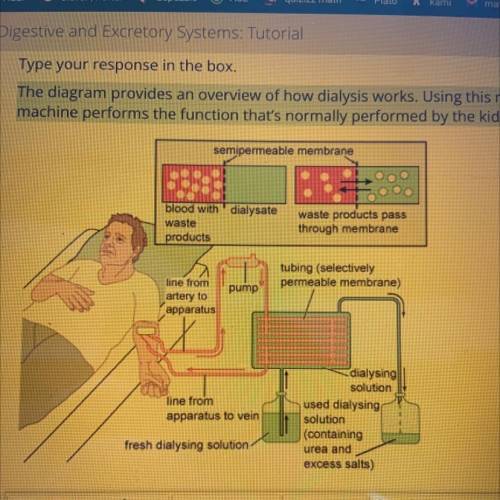 The diagram provides an overview of how dialysis works. Using this model as an example, explain ho