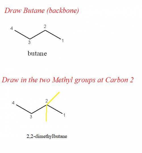 Write the stracture of 2,2-dimetyl butane