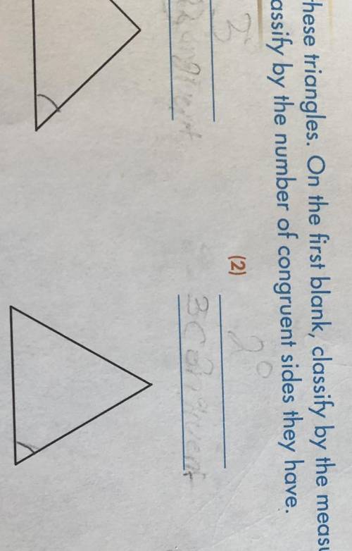 Identify these triangles. On the first blank classify by the measure of their angles. On second lin