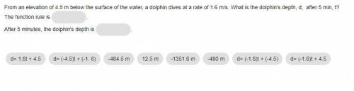 From an elevation of 4.5 m below the surface of the water, a dolphin dives at a rate of 1.6 m/s. Wh