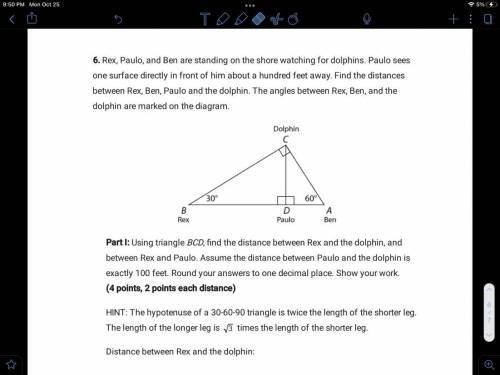Using triangle BCD find the distance between Rex and a dolphin in between Rex and Paulo assume the