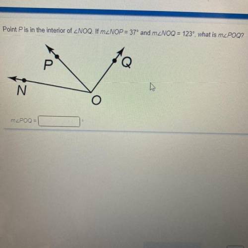 Can someone please help me with this I really need help.