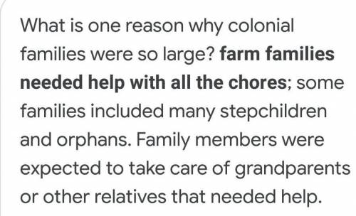 What is one reason why colonial families were so large