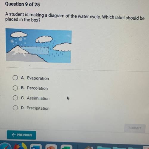 HELP PLSSSSS!!!

A student is making a diagram of the water cycle. Which label should be
placed in