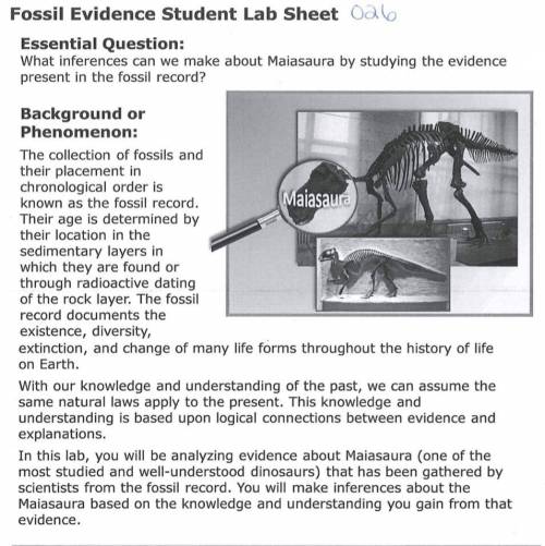 Fossil evidence student lab sheet

1. “How can studing the fossil record give scientists clues abo