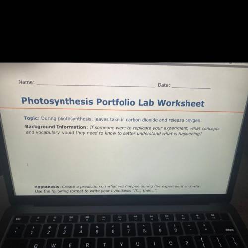 Photosynthesis portfolio lab worksheet