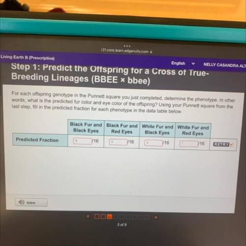 Breeding Lineages (BBEE bbee)

C D
For each offspring genotype in the Punnett square you just comp