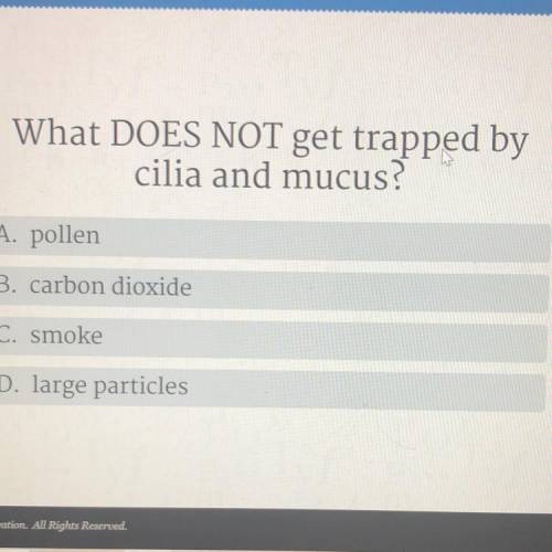 What DOES NOT get trapped by cilia and mucus?

•please no links or fake answers•
and please be qui